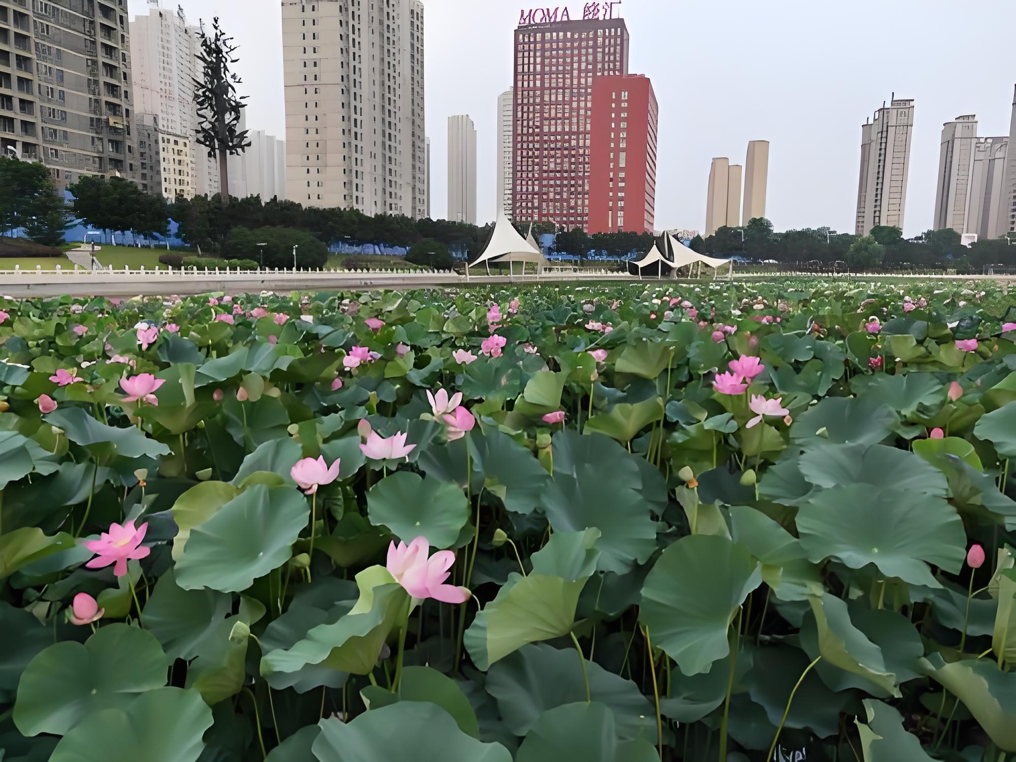 《2026第一次来鲅鱼圈怎么玩？本地人整理2天1夜旅游攻略》