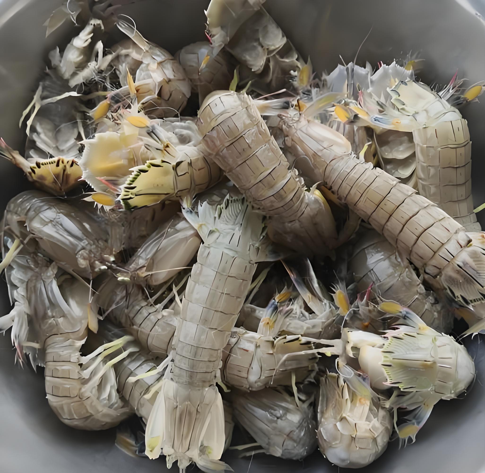 虾爬子